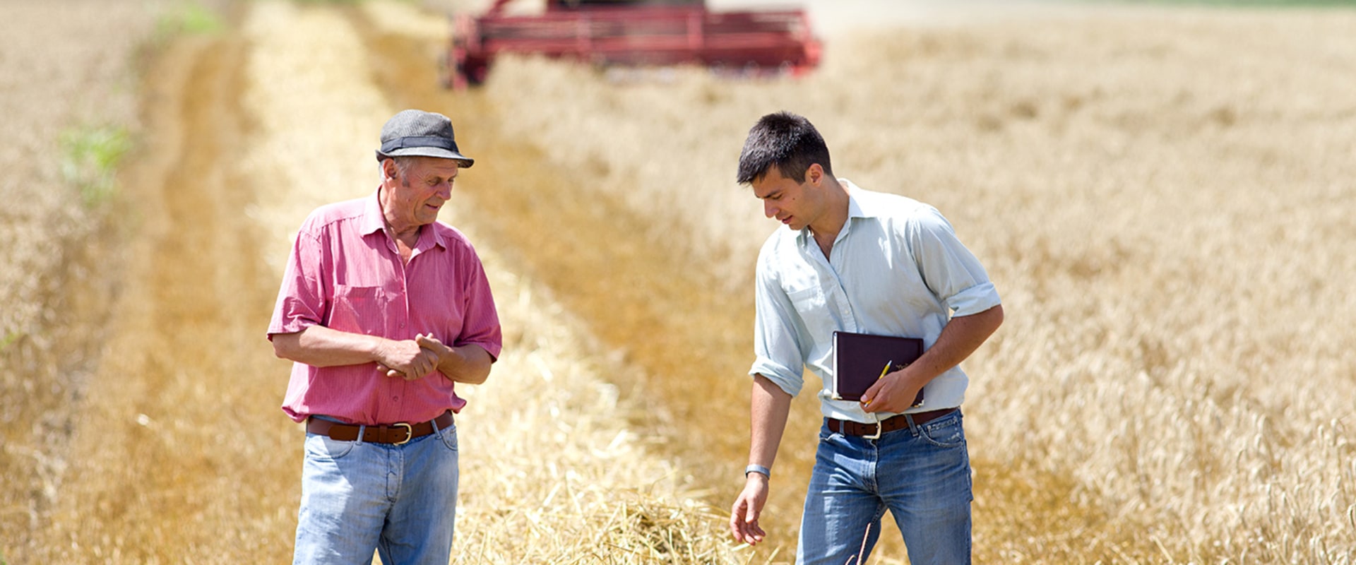 Advantages and Disadvantages of Small Business Loans